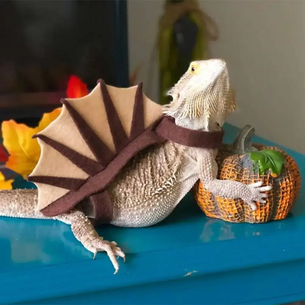 

Stegosaurus Lizard Costume Thorn Dragon Adjustable Dinosaur Shape Lizard Cloth Realistic Lightweight Creative Reptile Apparel