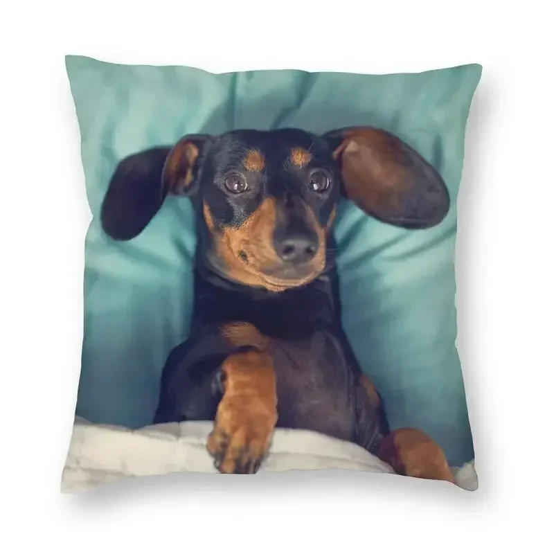 Dachshund Cushion Cover Decoration Print Badger Sausage The Wiener Dog Throw Pillow for Sofa Double-sided