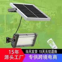 Solar Split Light Outdoor Waterproof Garden Wall Remote Control Light Terrace Garden Flood Light SWL-20PRO