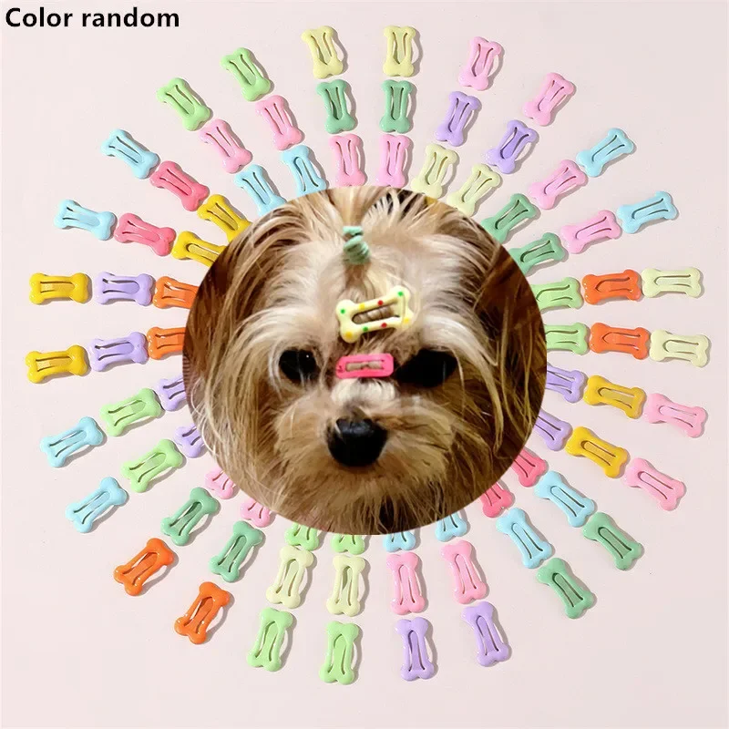 

Pet Hair Clips Cat Dog Headwear Colorful Puppy Hair Pin Dress Up Accessories Pet Hair Clips Chihuahua Grooming Dog Accessories