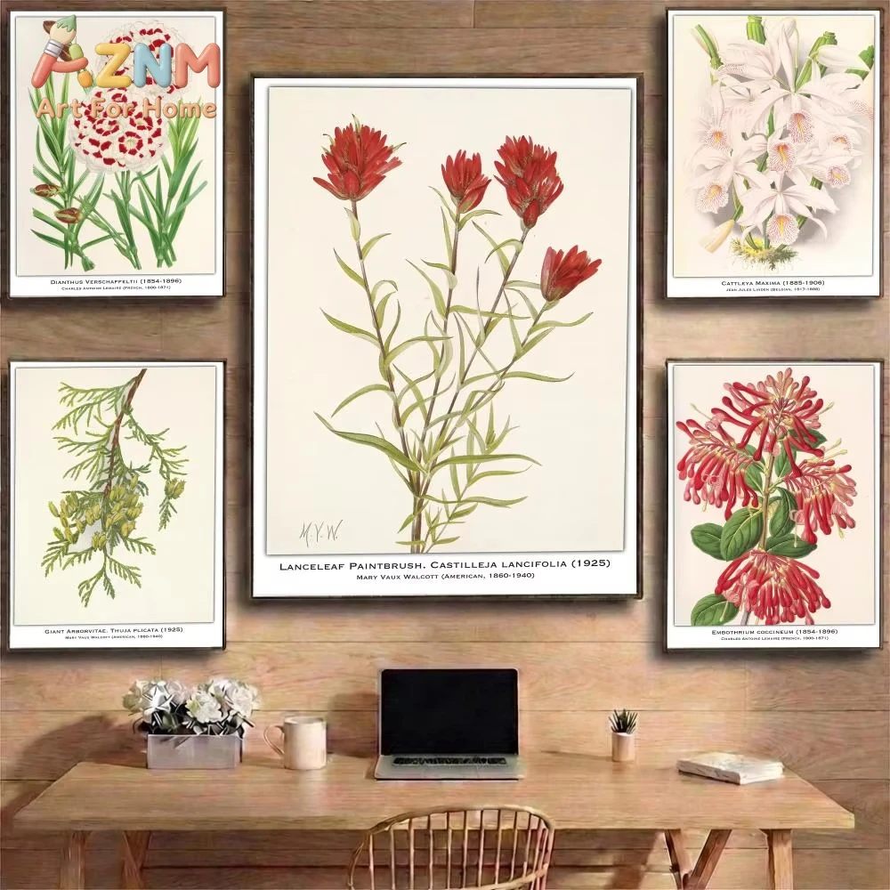 

1pc Botanical Illustration Poster Art Poster Canvas Painting Art Wall Poster Home Room Decor