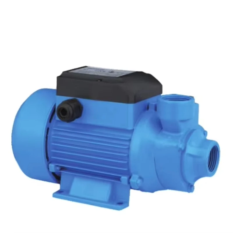 

High Voltage Direct Current Solar Water Pump 24V 48v Solar Booster Pump