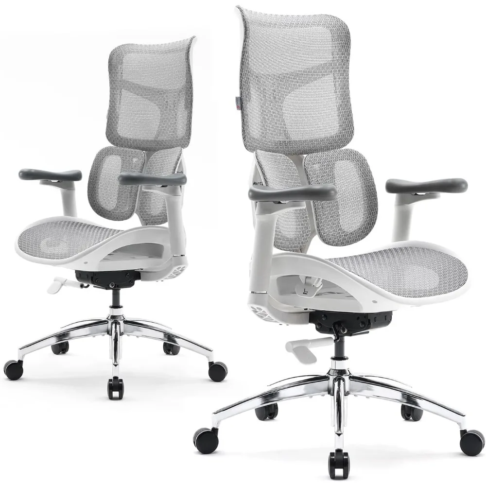 Doro S100 Ergonomic Office Chair - with Dual Dynamic Lumbar Support, 5-Level Adjustable Backrest, 4D Coordinated Armrests