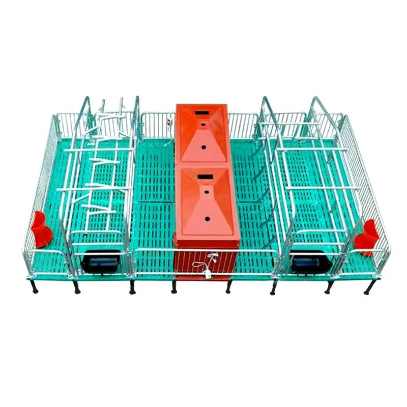 with 1 Year Warranty for Pig Farming & Breeding High Durability Pig Cages Made of Hot Dip Galvanized Pipe