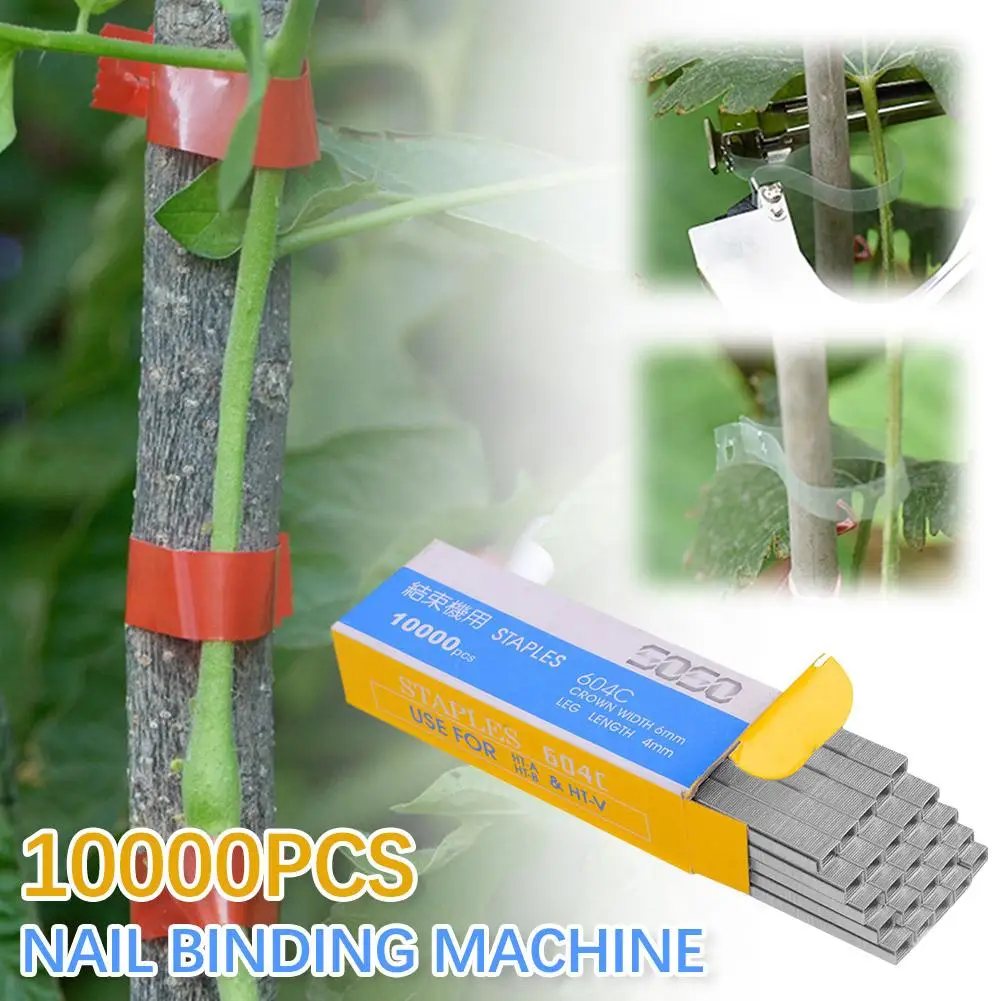 10000pcsTapetool Tapener Tying Staple Pin Nail Tape Tool Professional Vines Tying Machine Plant Garden Tools Connect