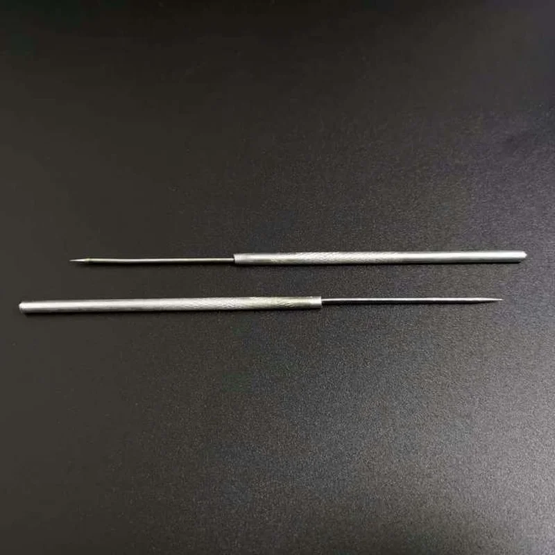 Stainless Steel Anatomy Tools 10pcs/20pcs/30pcs 135mm,Probe Insect Dissection Needle,Biological Dissecting Needle