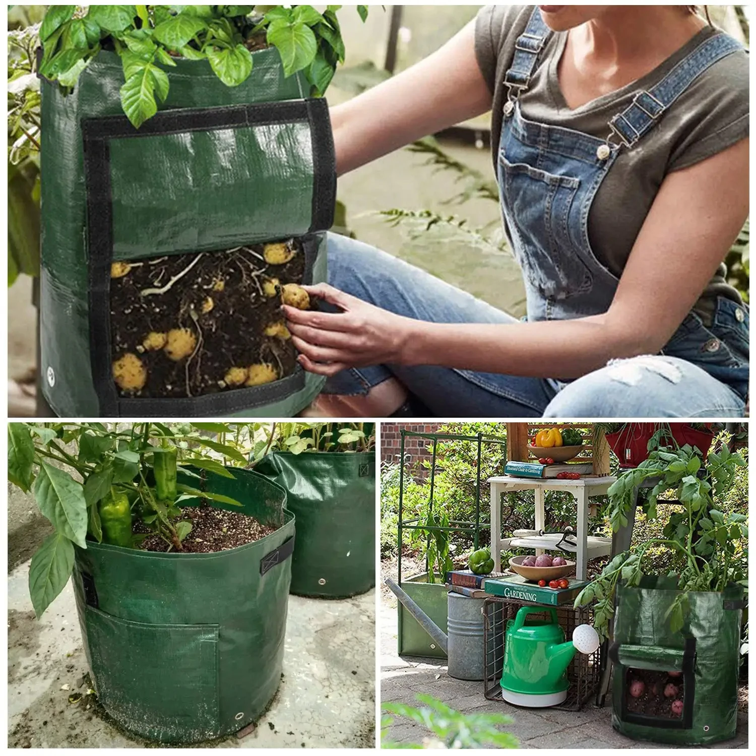 Garden Grow Bags 3/5/7/10 Gallon Potatoes Grow Bags Gardening Plant Growing Bags PE Fabric Carrot Vegetable Planter Container view 5