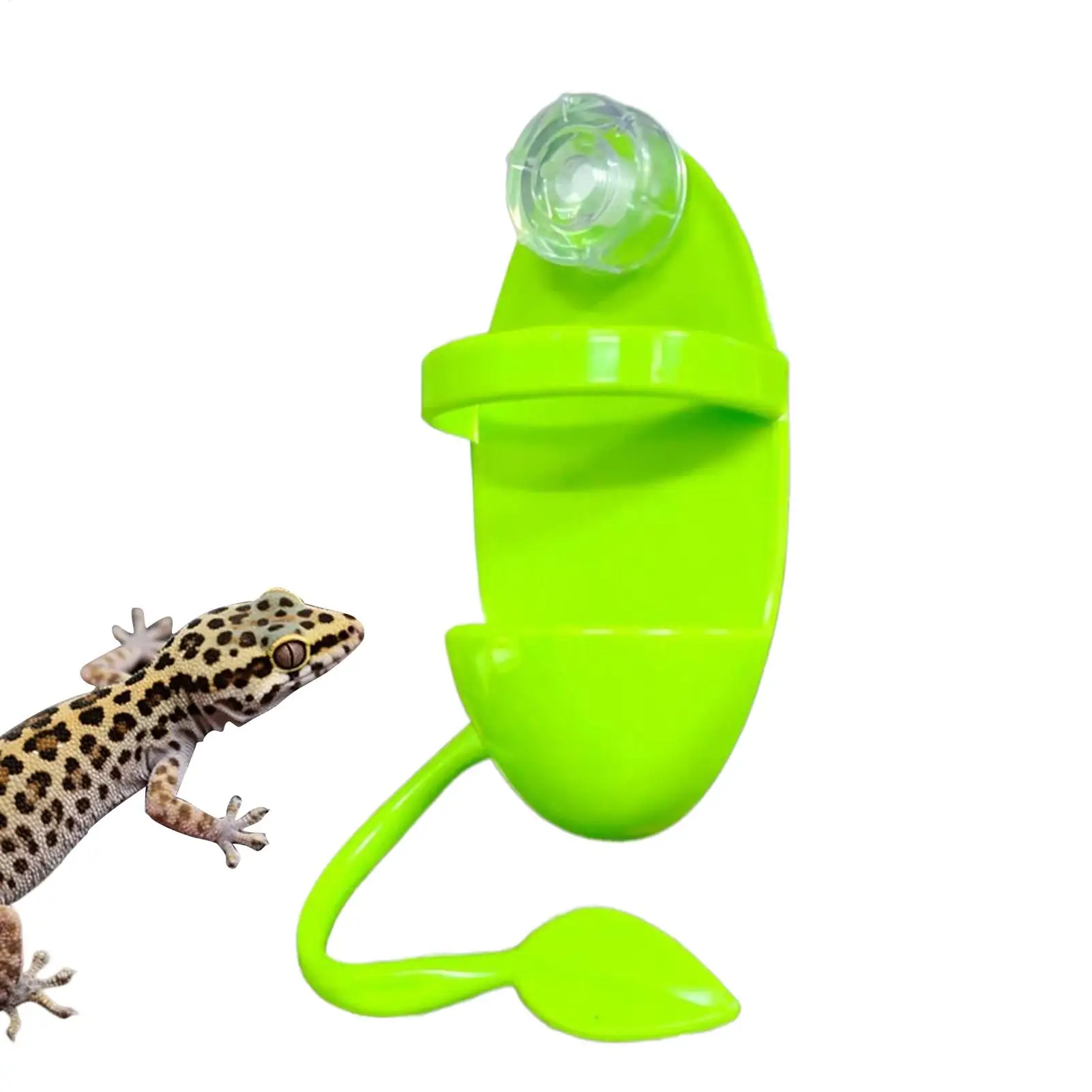 Suction Cup Reptile Feeding Ledge Feeder Bowl Anti climbing habitat frame for tree frogs eyelash horned geckos lizards