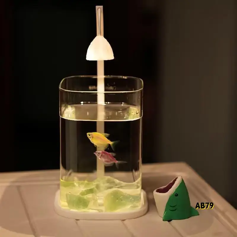 

Mini Glass Aquarium Fish Tank With Colored Crystal LED Light Desktop Ornaments High-End Lamp