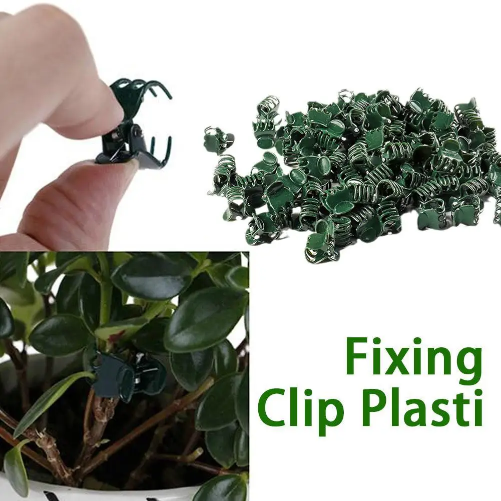 

Plant Climbing Wall Clips Vine Buckle Hook Rattan Plant Support Branch Upright Flower Clamping Garden Clamp Grow X5p5