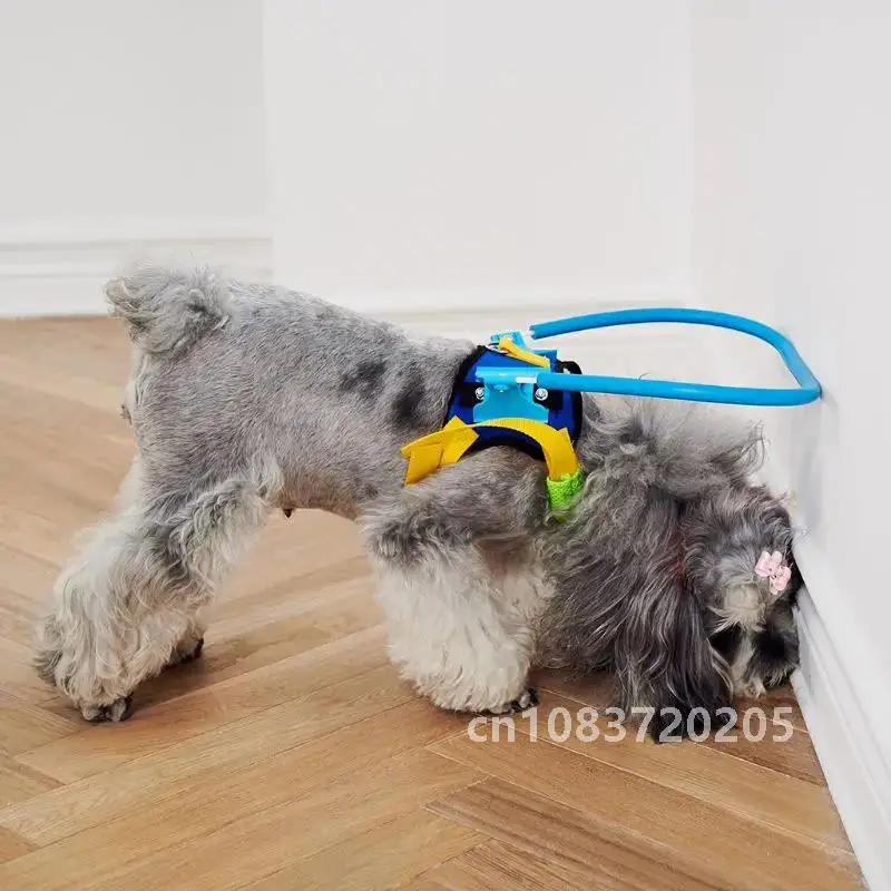 Blind Pet Anti-collision Collar Dog Guide Training Behavior Aids Fit Small Big Dogs Prevent Collision Collars Supplies