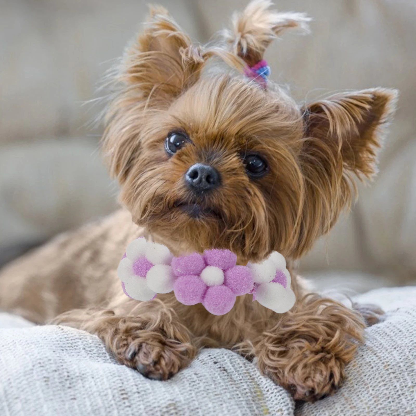 

Pet Collar Cat Knitted Homemade Collars to Weave Kitten Flower for Dog White Decoration Puppy