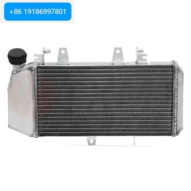 Motorcycle Water Tank Assembly Accessories Water-Cooled Radiator for  F800GS F800GT 2007-2018