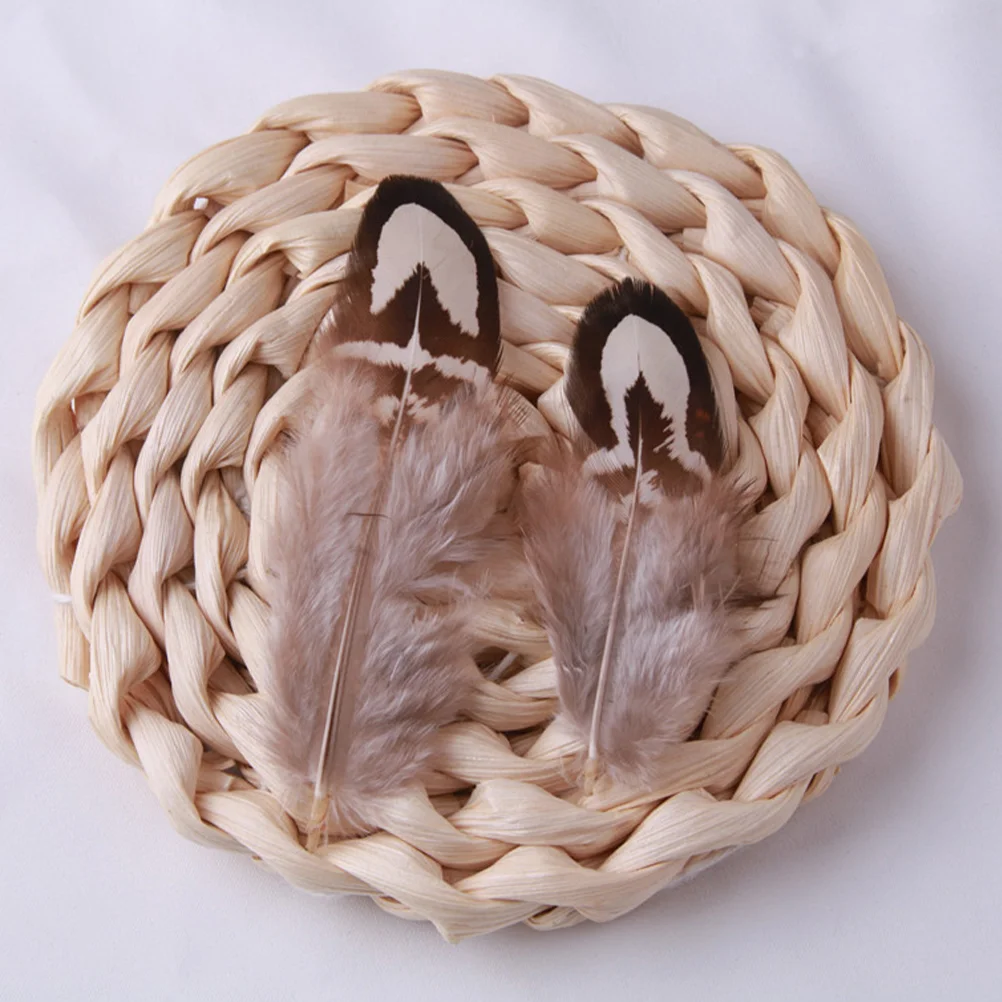 50Pcs Natural Plume Bulk Natural Plume Decorative Plumes Crafting Plumes Dream Catcher Accessories craft plumes