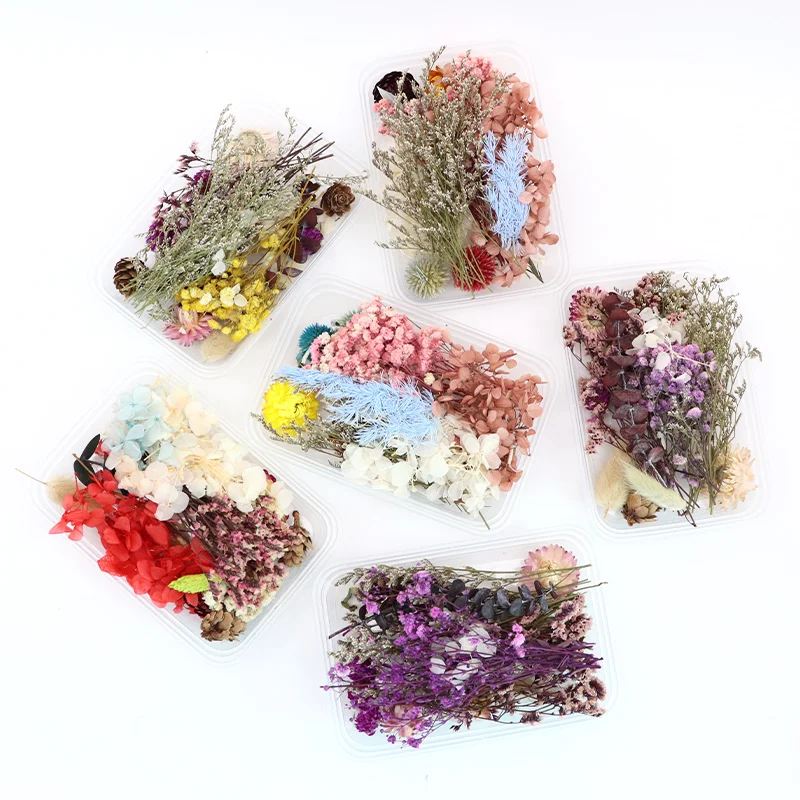 Mixed Pressed Flower Leaves, Random Style, Real Dried Flowers, Multiple Colorful Assorted Flower, DIY Material Package, 1Box