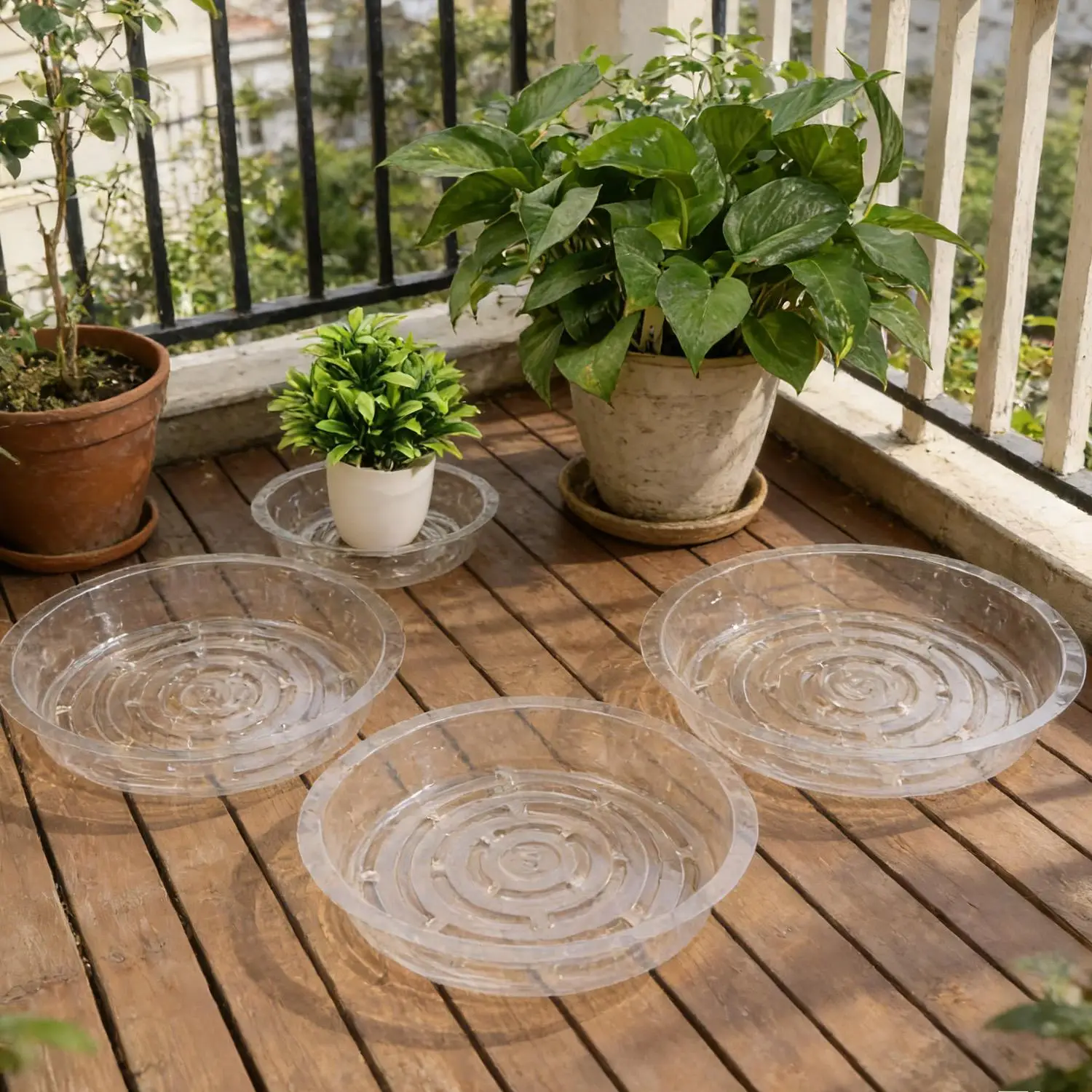 Thumbnail 2 - #23 Highest Rated Garden Pot Saucers & Trays to Buy in 2026