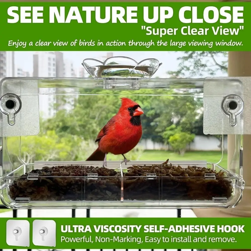 Bird Accessories Hummingbird Feeder Outdoor Decor Suction Cup Window Bird Feeder Easy to Clean Bird Food Dispenser