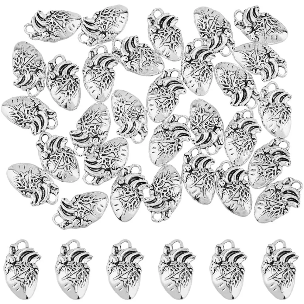 60Pcs Gothic Heart Charm Alloy Heart Charms 3D Heart Organ Charms Anatomical  Pendant Bulk Human Anatomy Pendants