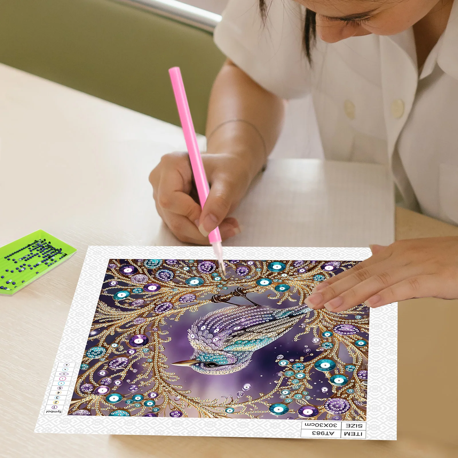 Special Shape Diamond Art Kits for Beginners and Adults,DIY Colorful birdDiamond Art Painting Kits for Home Wall Decoration Gift view 6
