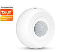 Tuya APP Remote Control WIFI 360 Degree Ceiling PIR Detector For Home Security Alarm System Wide Angle Motion Sensor