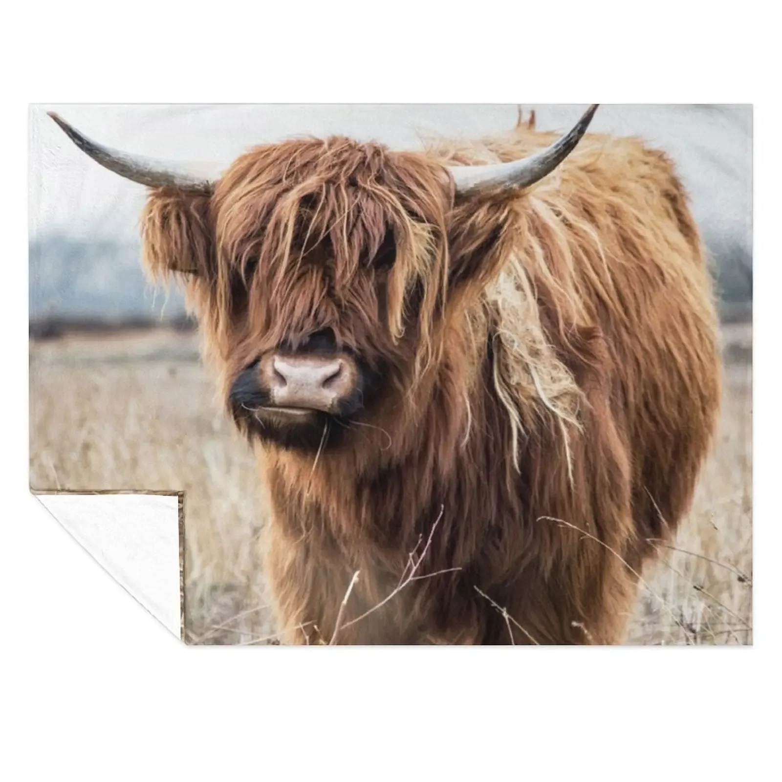 

Highland Cow Portrait Throw Blanket wednesday for sofa Softest halloween Blankets