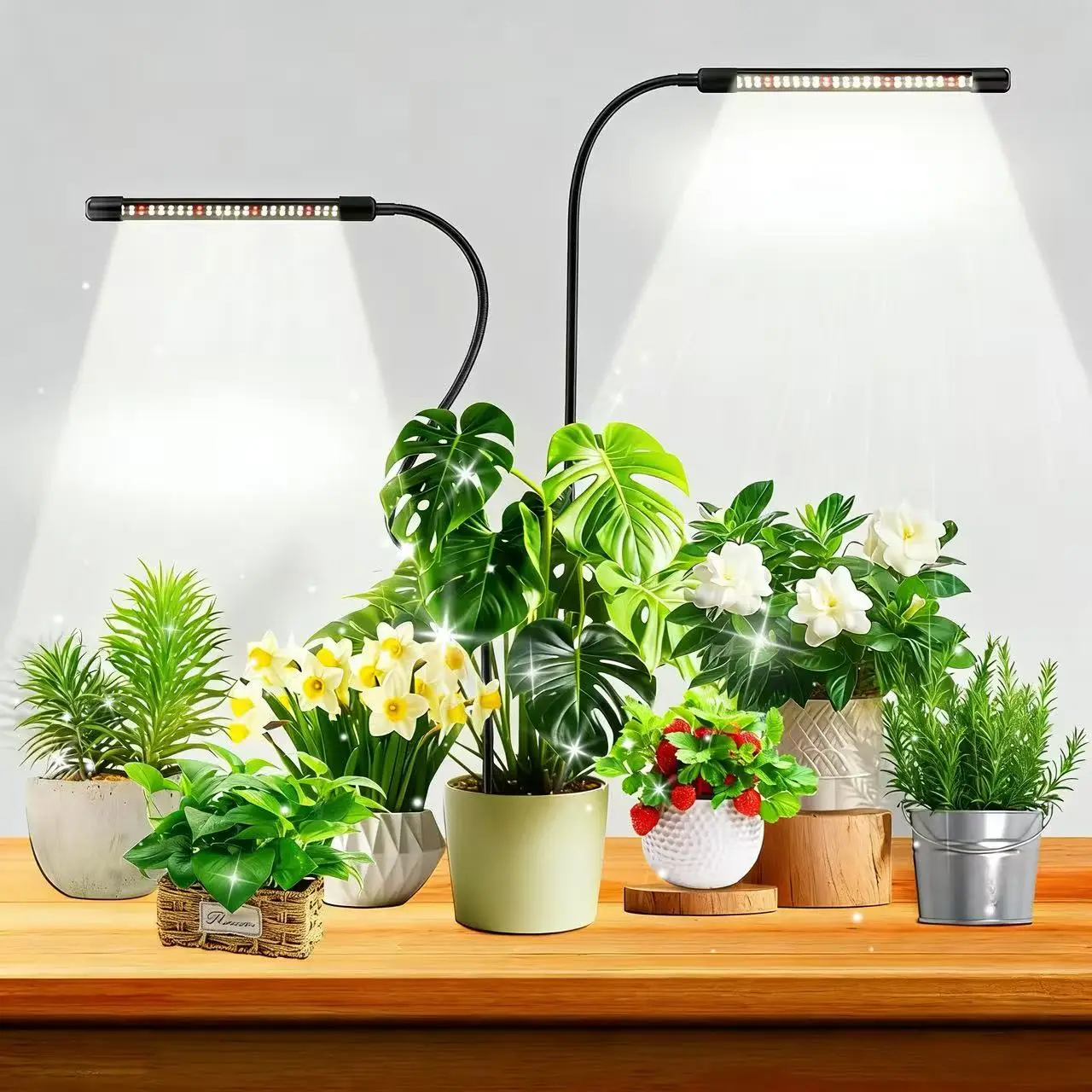 48LEDs Grow Lights for Indoor Plants 6000K Full Spectrum Ground Plug Grow Light with Gooseneck With 5 Level Dimmable & Auto Timer for Small and Indoor Plants