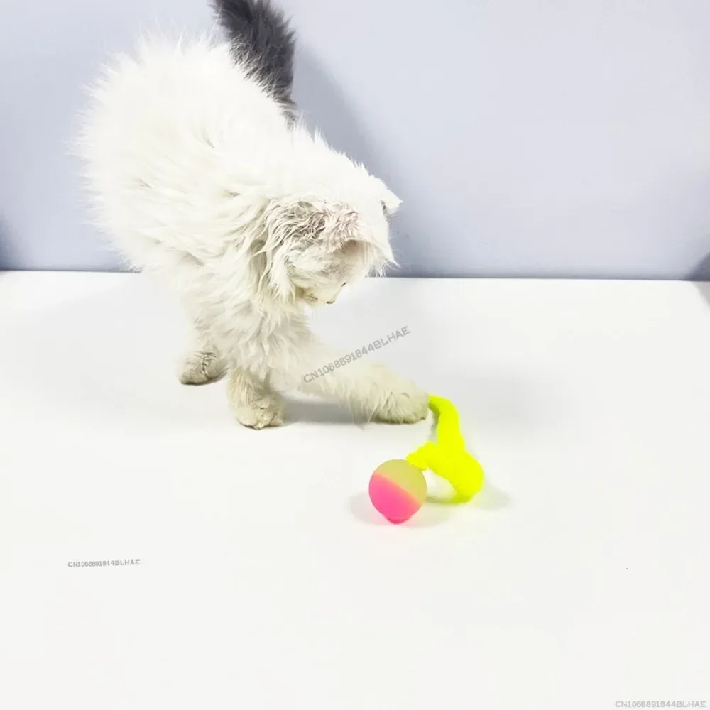 Cat interactive toys Tickle Cat Colorful bouncing ball Pet supplies Puzzle teasing indoor cat worm caterpillar elastic toy