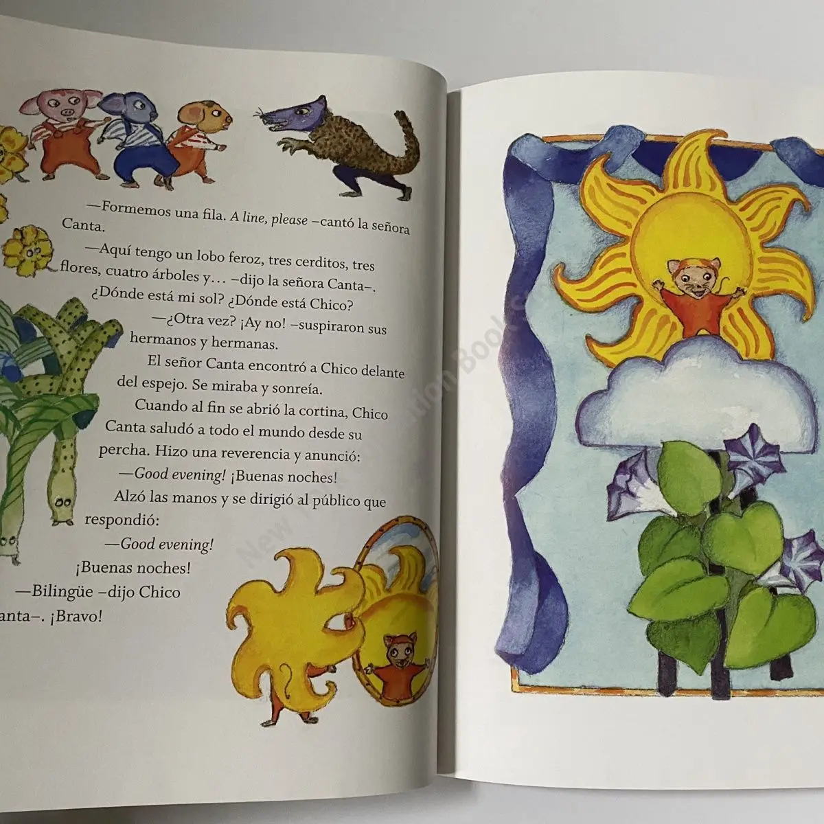 6 Reading Picture Books in The Classic Spanish Original Book Story Teaching Strategy Series