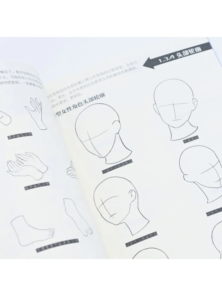 Book-Winshare Fantasy Mainland Fan Character Animation Design Example Tutorial