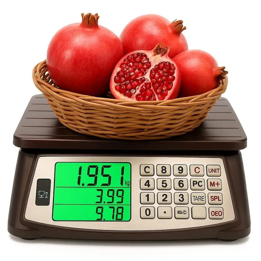 Computing Scale, Commercial Food Scale, Counting Function,66lb 30kg,1g, Rechargeable, Waterproof Design, Stainless Steel Keys,La