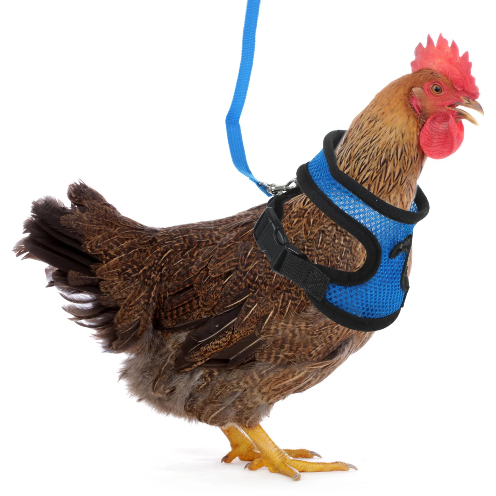 

Chicken Mesh Harness Vest Blue S Size Elastic Pet Walking Leash Adjustable Butterfly BowDuck Breathable Vest Geese Small Pets