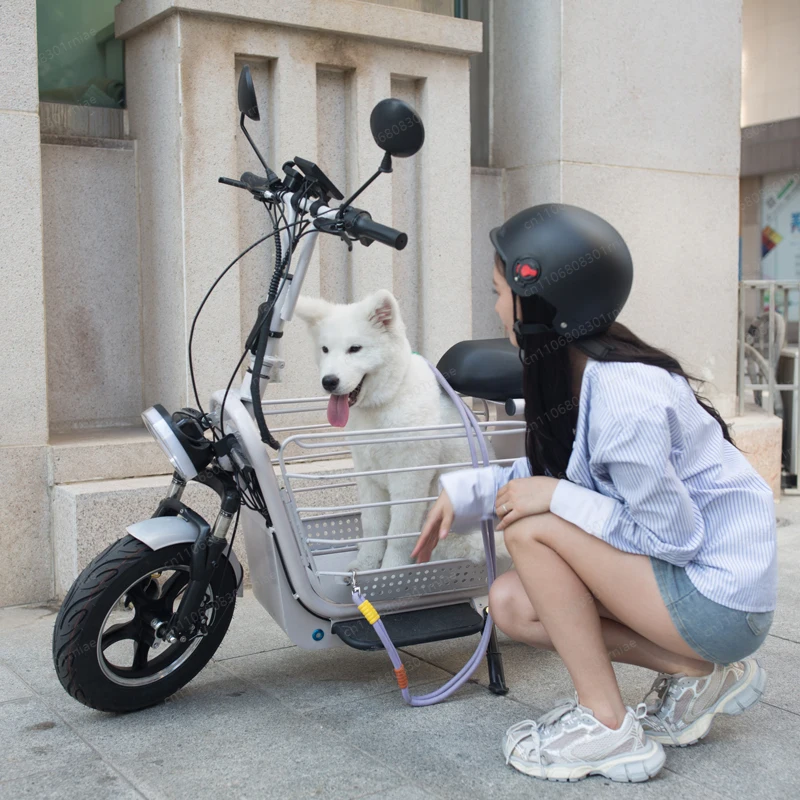 14 inch tires foldable two seater mini electric scooter with child seat pet scooter bike