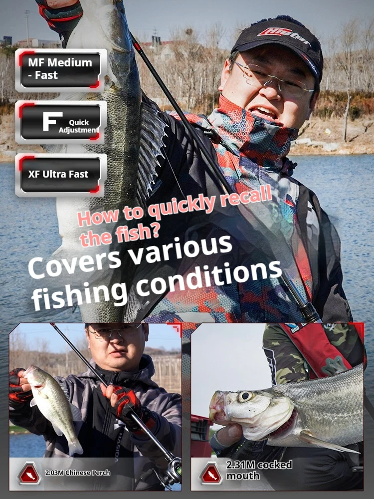 Hasida Vector Long …