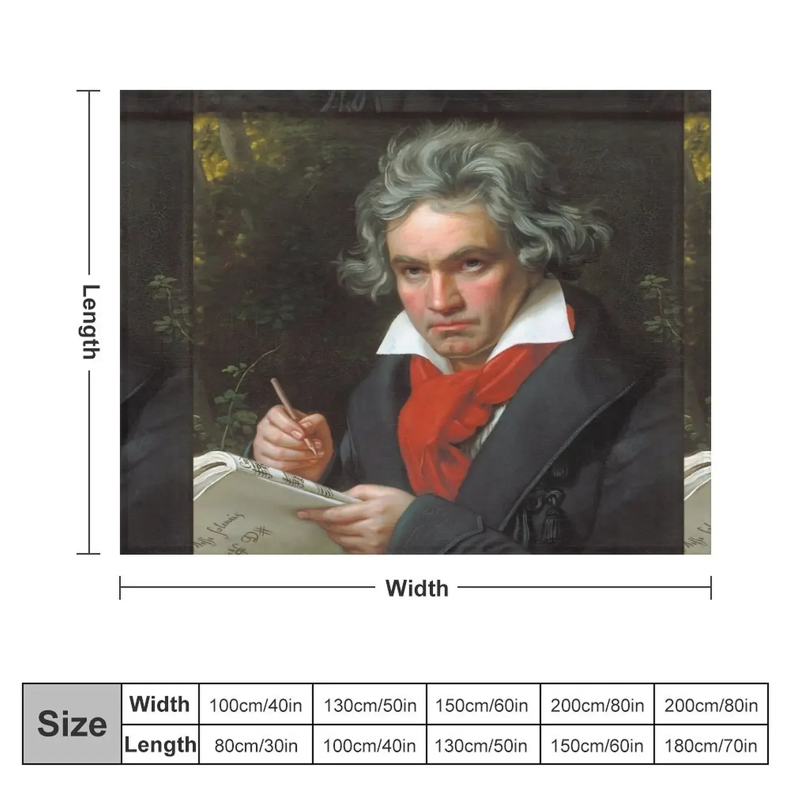 Ludwig van Beethoven Throw Blanket Camping Soft Plaid Blankets