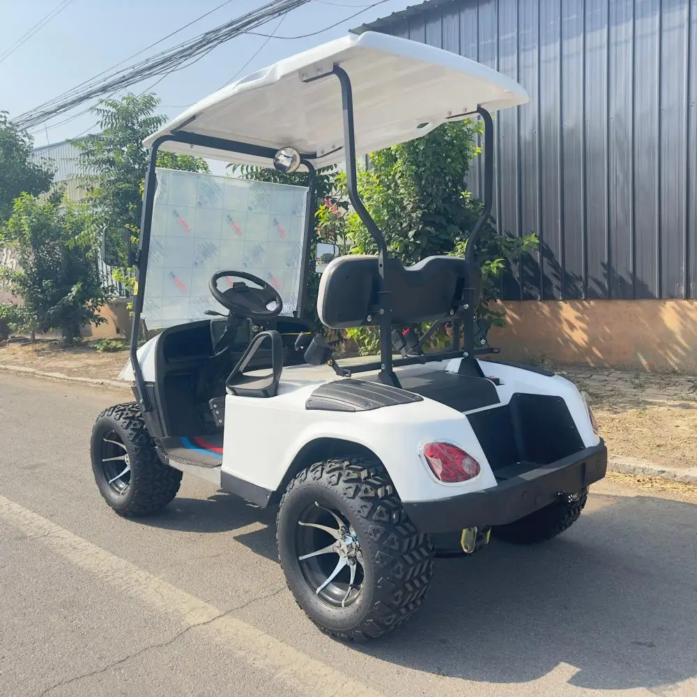 MMC مخصص الصانع بالجملة 2 4 6 مقاعد مقعد الصيد الليثيوم الكهربائية على الطرق الوعرة عربة جولف مرفوعة #5