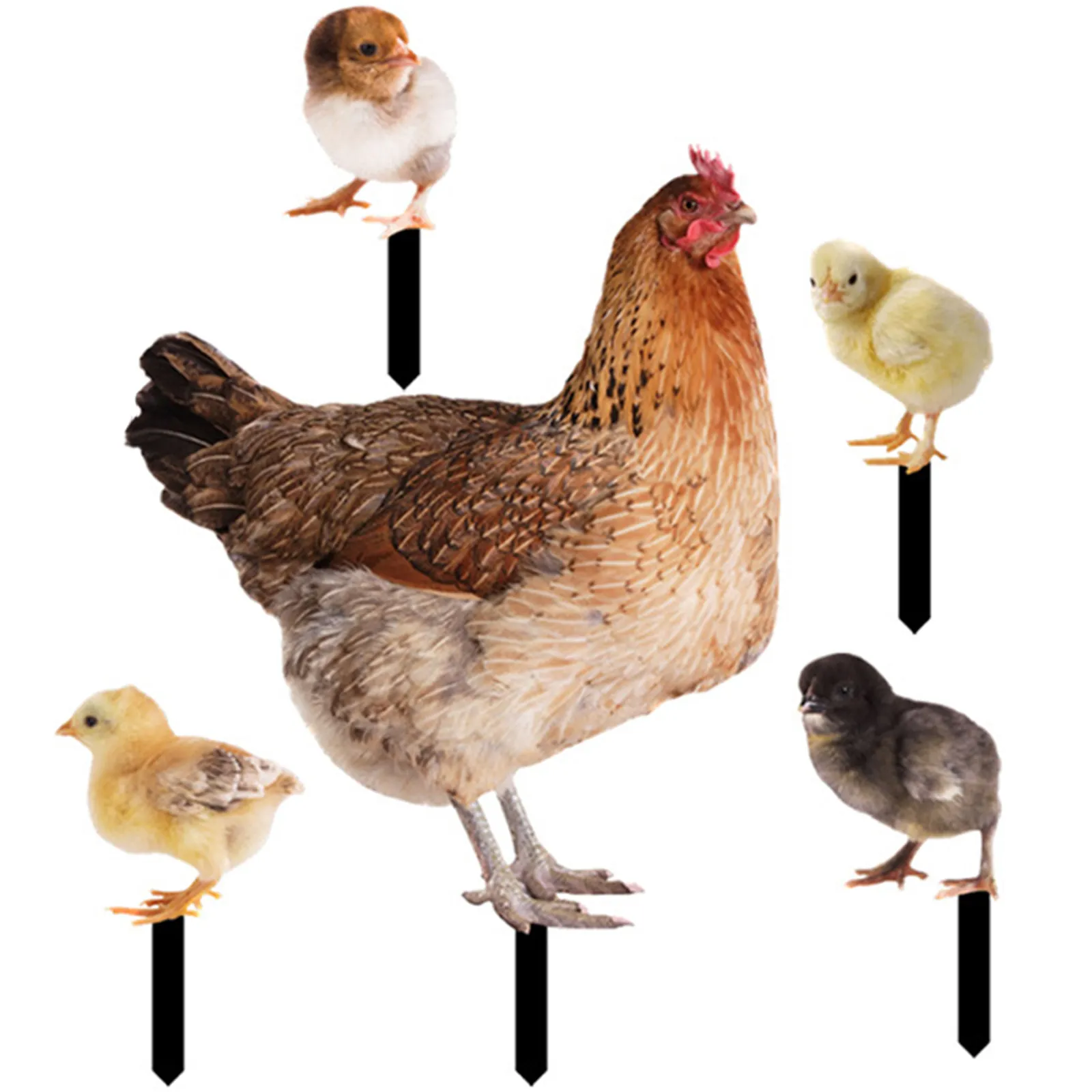 1Set Simulation Chicken Stake Garden Yard Sign Acrylic Lawn Ornament Outdoor Garden Accessory Decorative Hen Stake view 4
