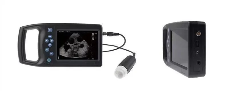 Veterinary Ultrasound Scanner medical equipment Portable Full Digital Sheep Canine Dog Pig Ultrasound Machine