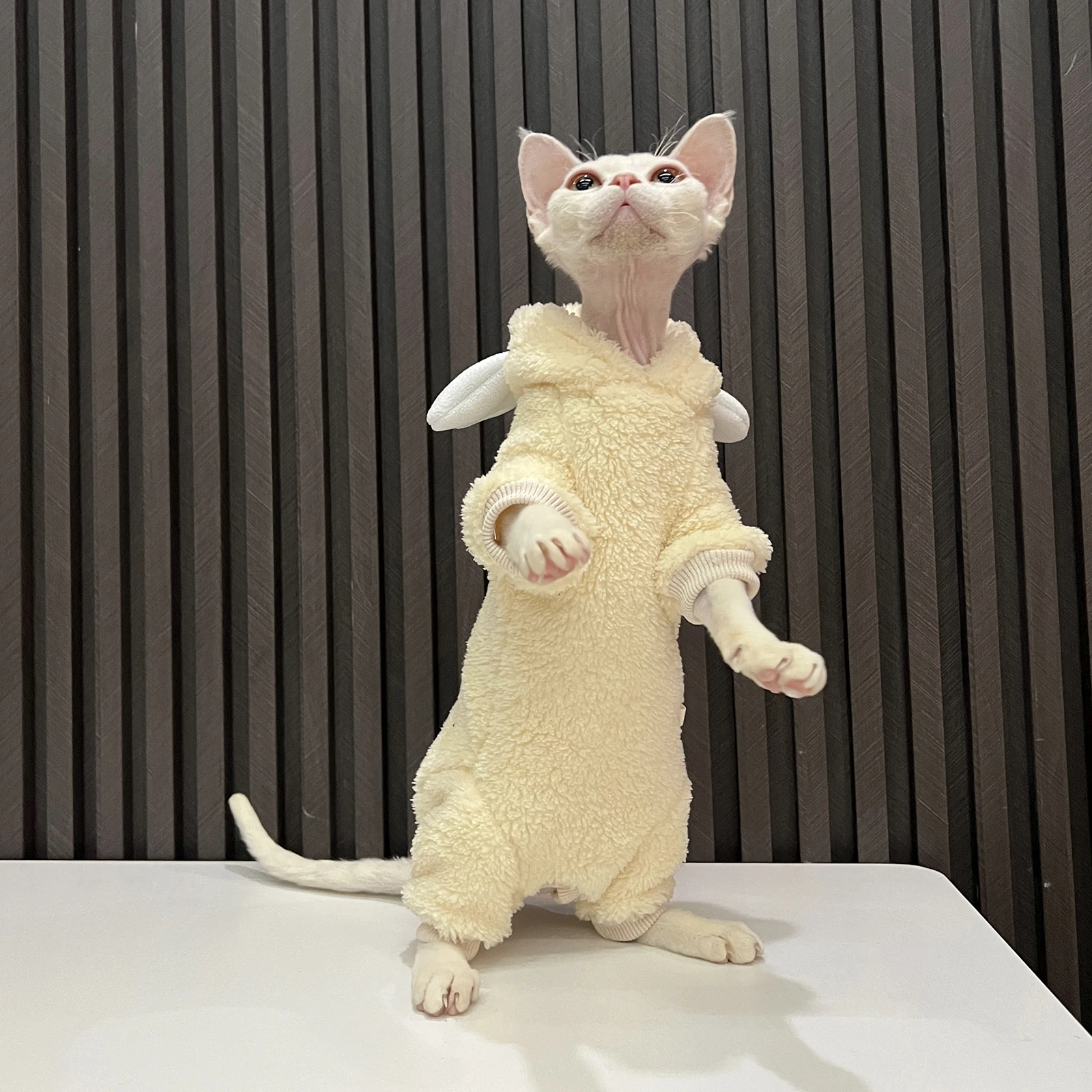 Cat Clothing Soft Winter Sweater for Sphynx Cat Warm Plush Loungewear for Kittens Cute Long Sleeves Coat Hat Suit for Devon Rex