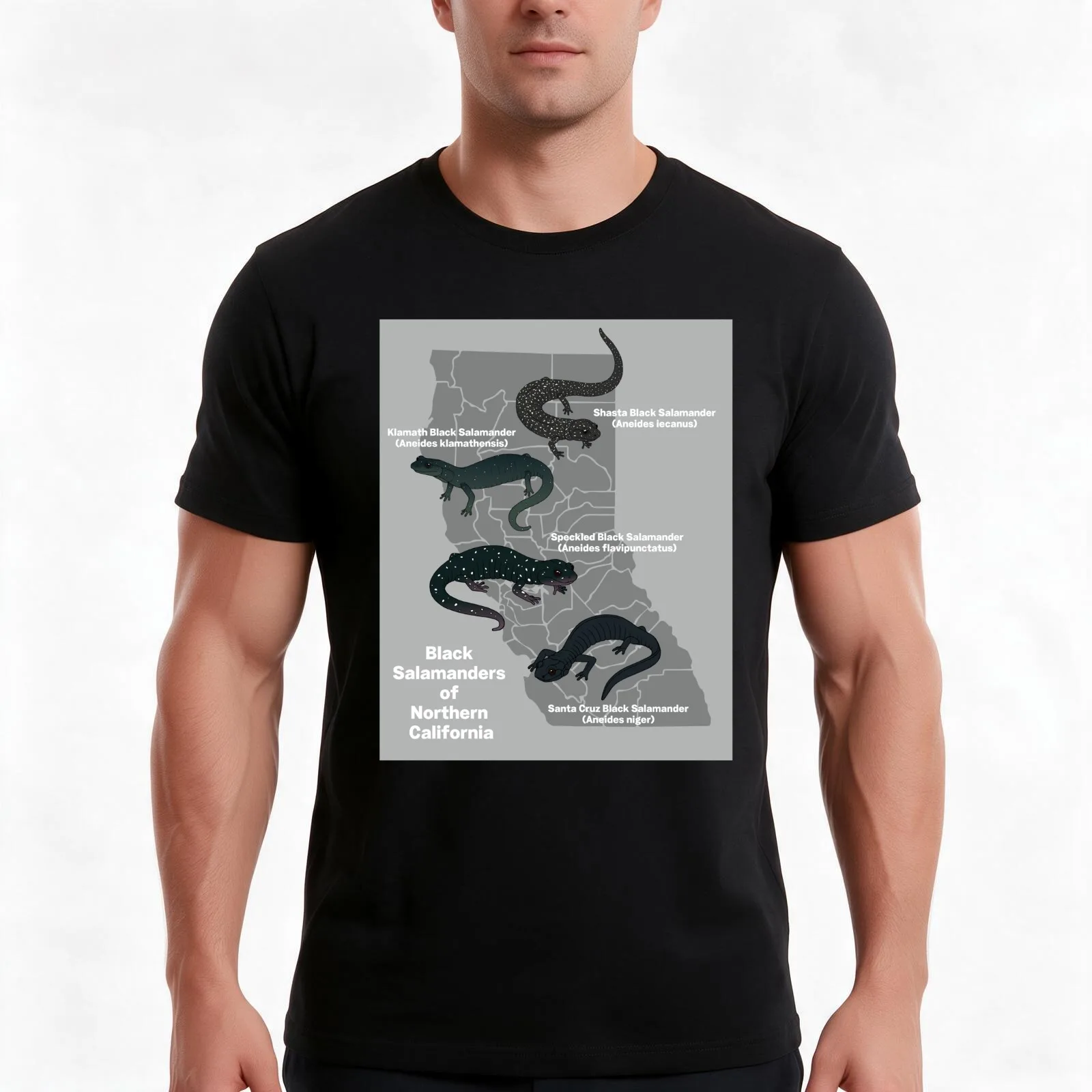 Black Salamanders of Northern California T-Shirt Summer Casual Cotton Tee Oversized Streetwear Tops Vintage Graphic Print