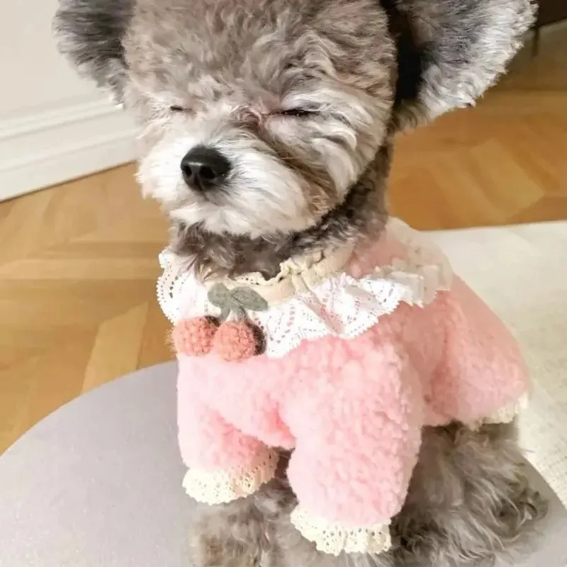 

Cherry Pet Sweater Petal Cream Teddy Plush Sweater Bear Yorkshire Warm Winter Puppy Coat Dog Clothes for Small Dogs Cat Jackets