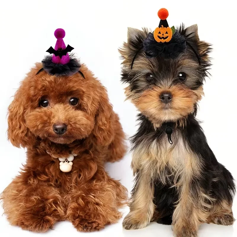Cerchietto per Animali Domesti - Party Hat Cone recensione e prezzo