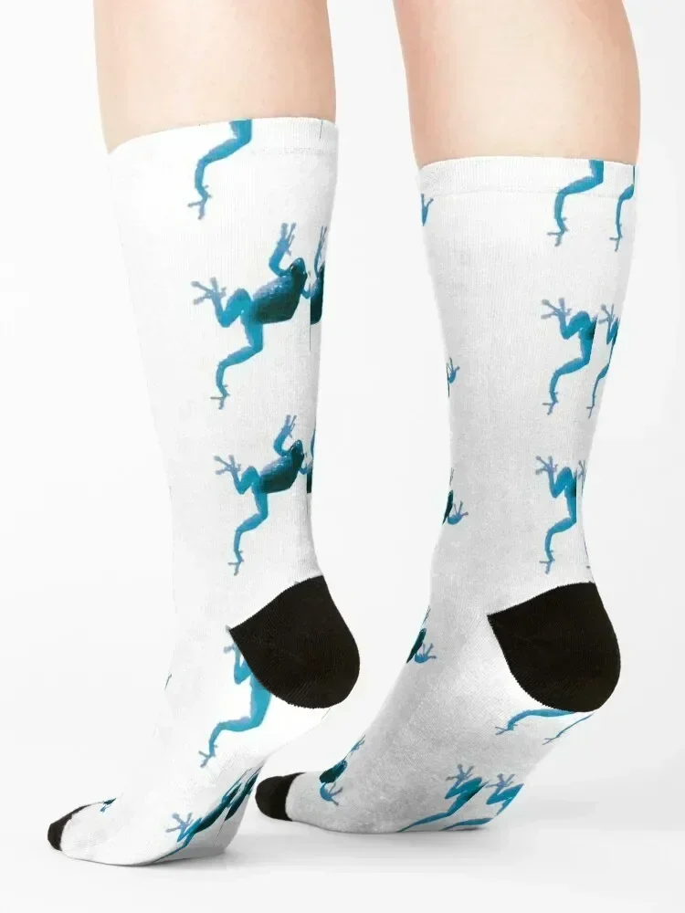 Blue Frog Climbing Socks Argentina cycling Wholesale winter thermal Men's Socks Luxury Women's