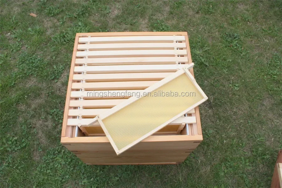 Complete Apiary Bee Hive Garden Beekeeping National Beehive