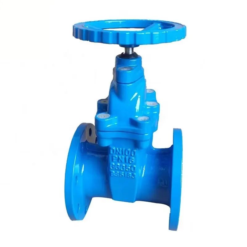 GGG50 FLG Ductile Cast Iron Resilient Wedge Gate Valve