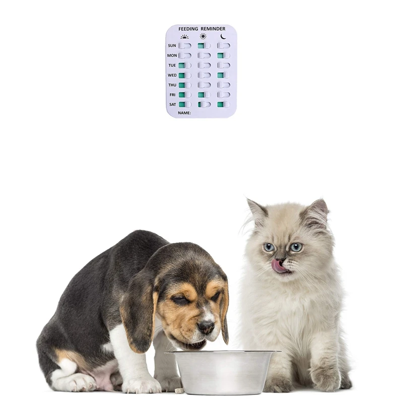 1 Piece Dog Feeding Reminder ABS Pet Supplies Magnetic Or Double Sided Adhesive Application, Reminder To Feeding Of Pets