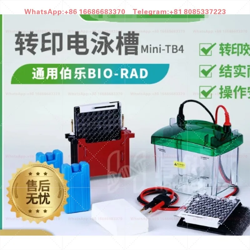 Mini Vertical Electrophoresis Tank, Universal SDS PAGE WB Protein Electrophoresis Cell, Compatible With Bio Rad MiniProteanTetra