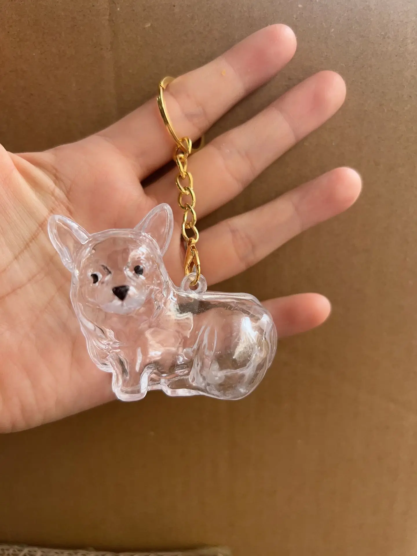 Cute Dog Hair Storage Box Memory Keychain Fur Container Keychain Pendant Transparent Capsule Souvenirs Dustproof Box Gift