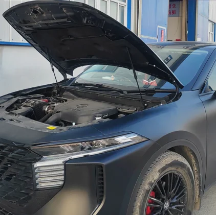 

Газовые стойки для Venucia V-Online 2021-настоящее время, поддержка подъема капота переднего капота, демпфер, опорные стержни амортизатора