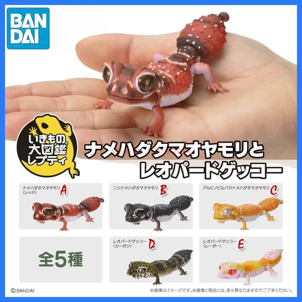 Коллекционная биологическая карта яиц гасяпона из Японии, модель геккона 2024