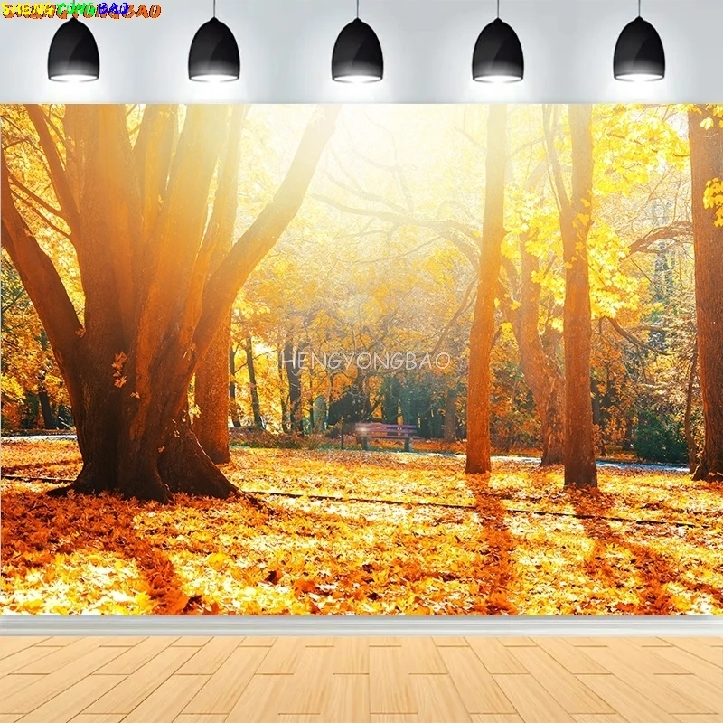 Vibrant Autumn Landscape Photography Backdrops Colorful Falling Leaves Natural Forest Blurry Sunlight Park Lake Background MO-07
